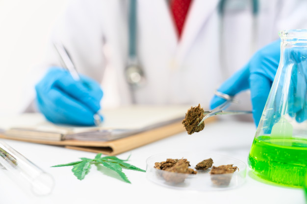 medical-cannabis-table-close-up