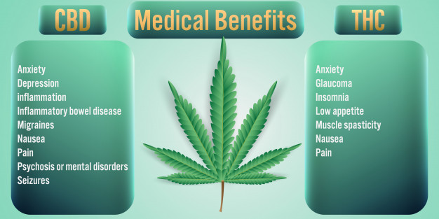  thc-cannabis-medical-benefits